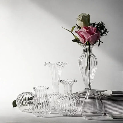 Transparent Hydroponic Glass Vases