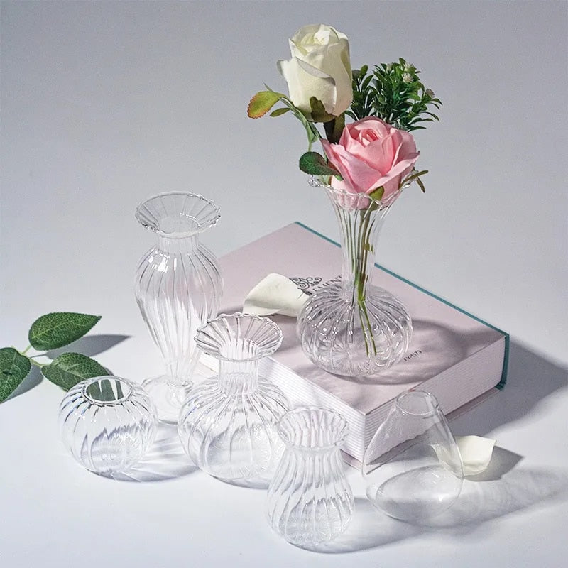 Transparent Hydroponic Glass Vases