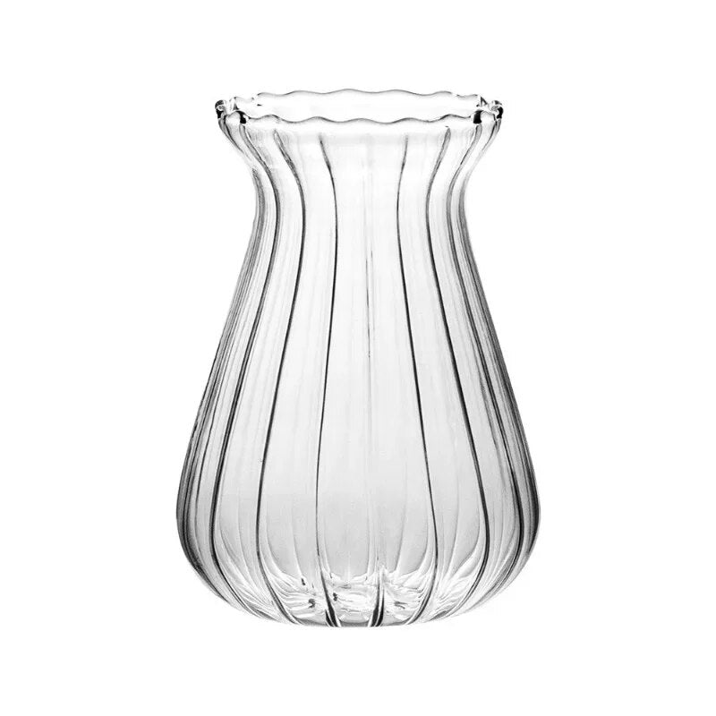 Transparent Hydroponic Glass Vases