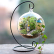 Hanging Glass Flower Vase