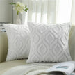 Celeste Plush Cotton Cushion Cover