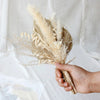 Artificial Dried Pampas Bouquets