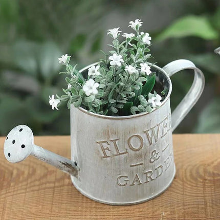 Iron Watering Can Plant Pot