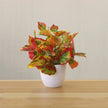 Artificial Exotic Leaf Pot Plants