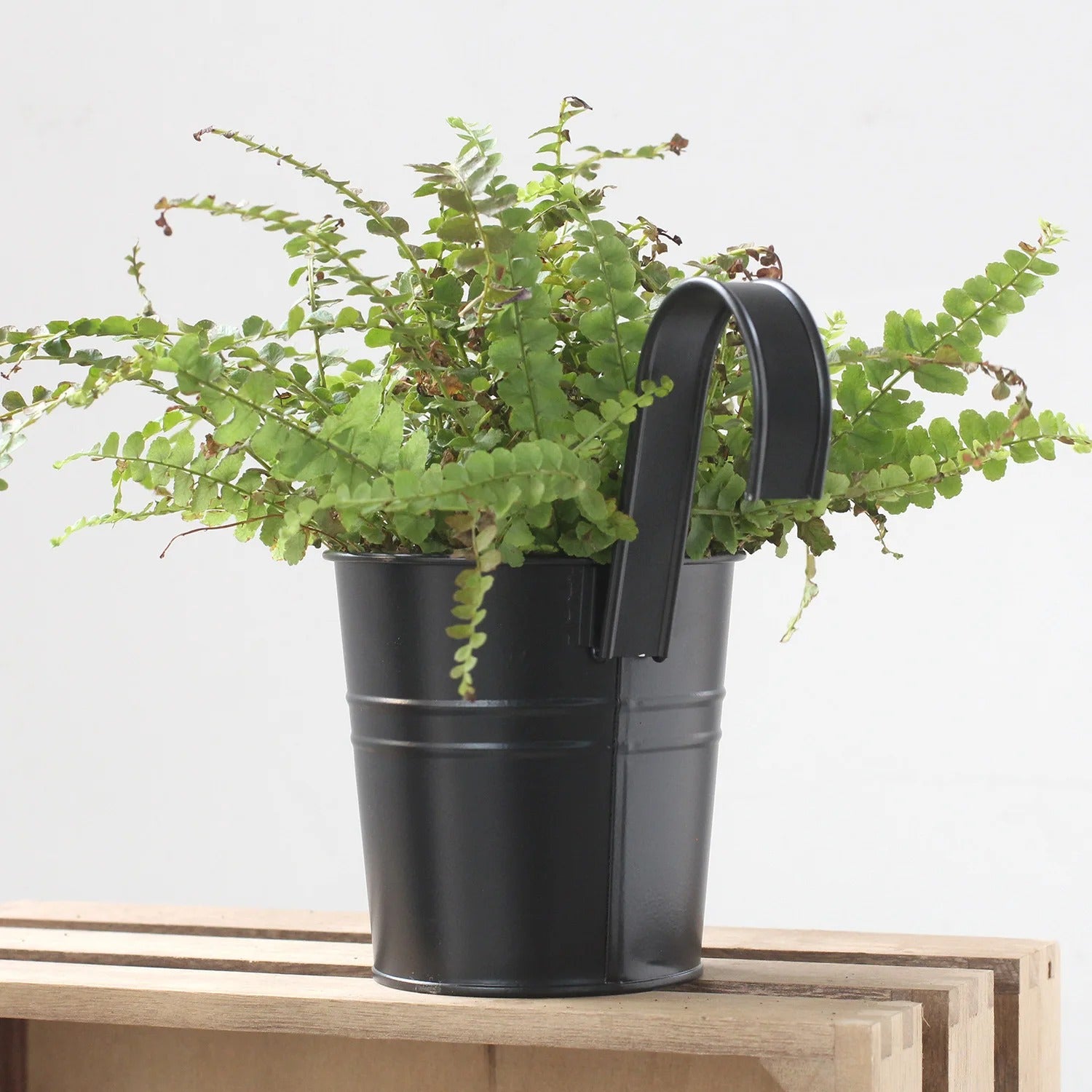 Hanging Retro Letter Bucket Plant Pot