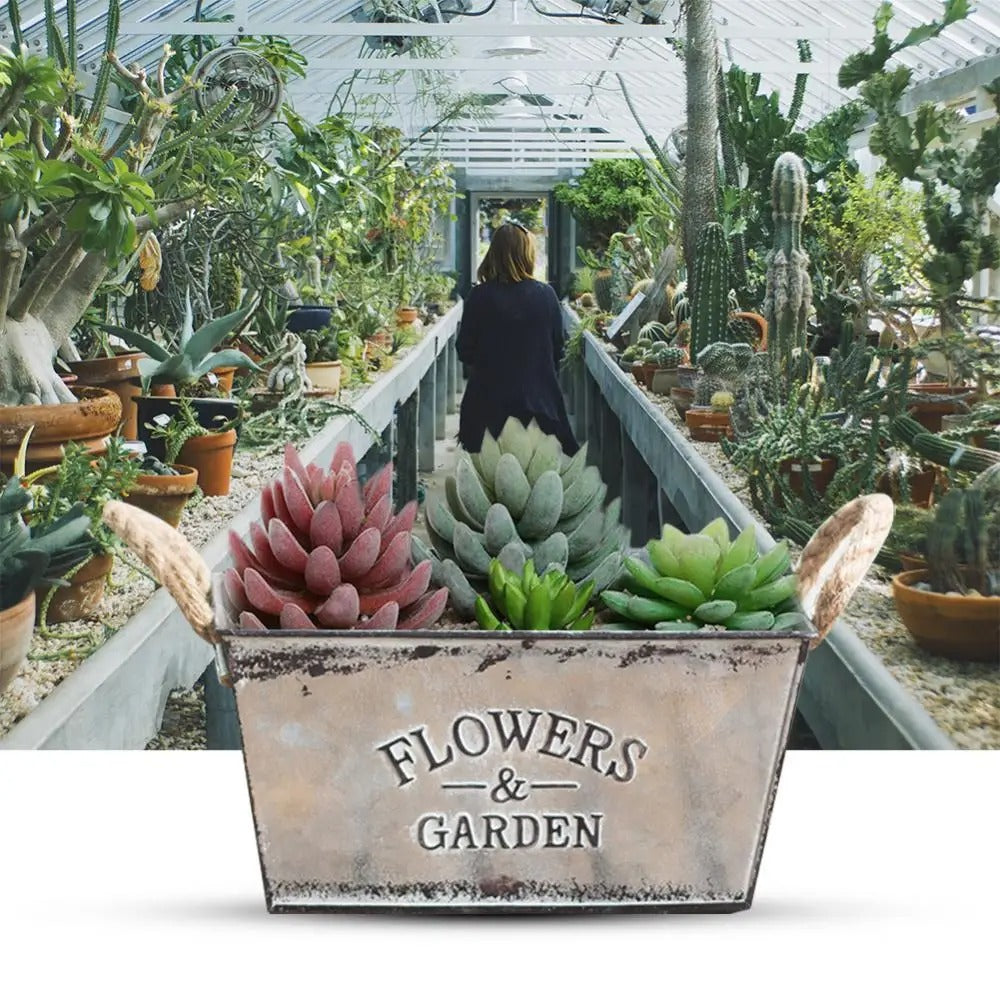 Flowers & Garden Metal Flower Pot