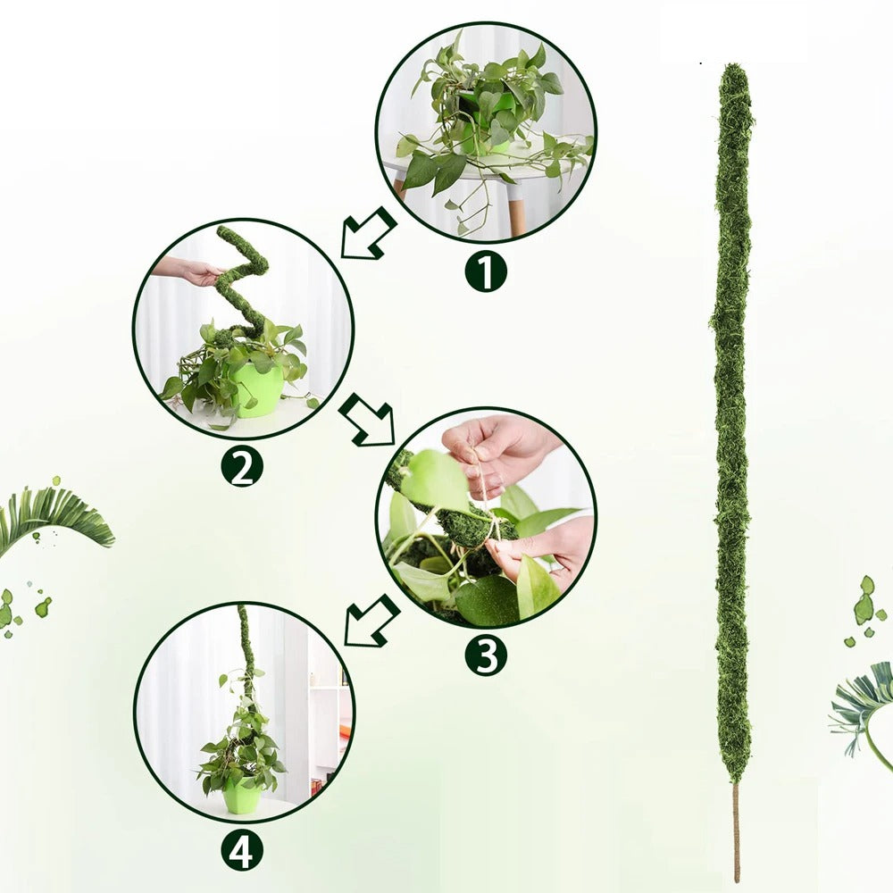 Moss Pole Bendable Plant Stake