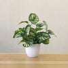 Artificial Exotic Leaf Pot Plants