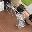 European Bicycle Pot Plant Display