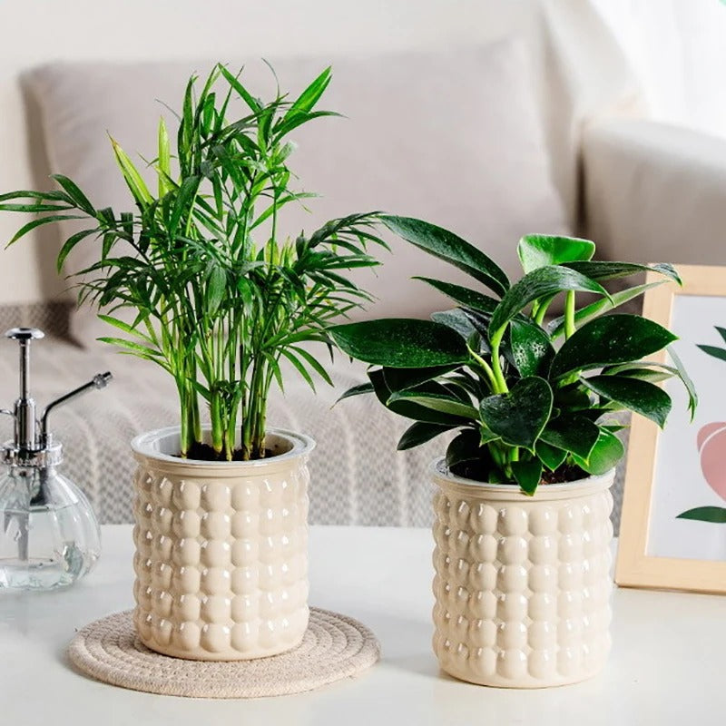 Self-Watering Transparent Flower Pot