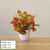 Artificial Exotic Leaf Pot Plants