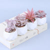 Pink Flocking Artificial Pot Plants