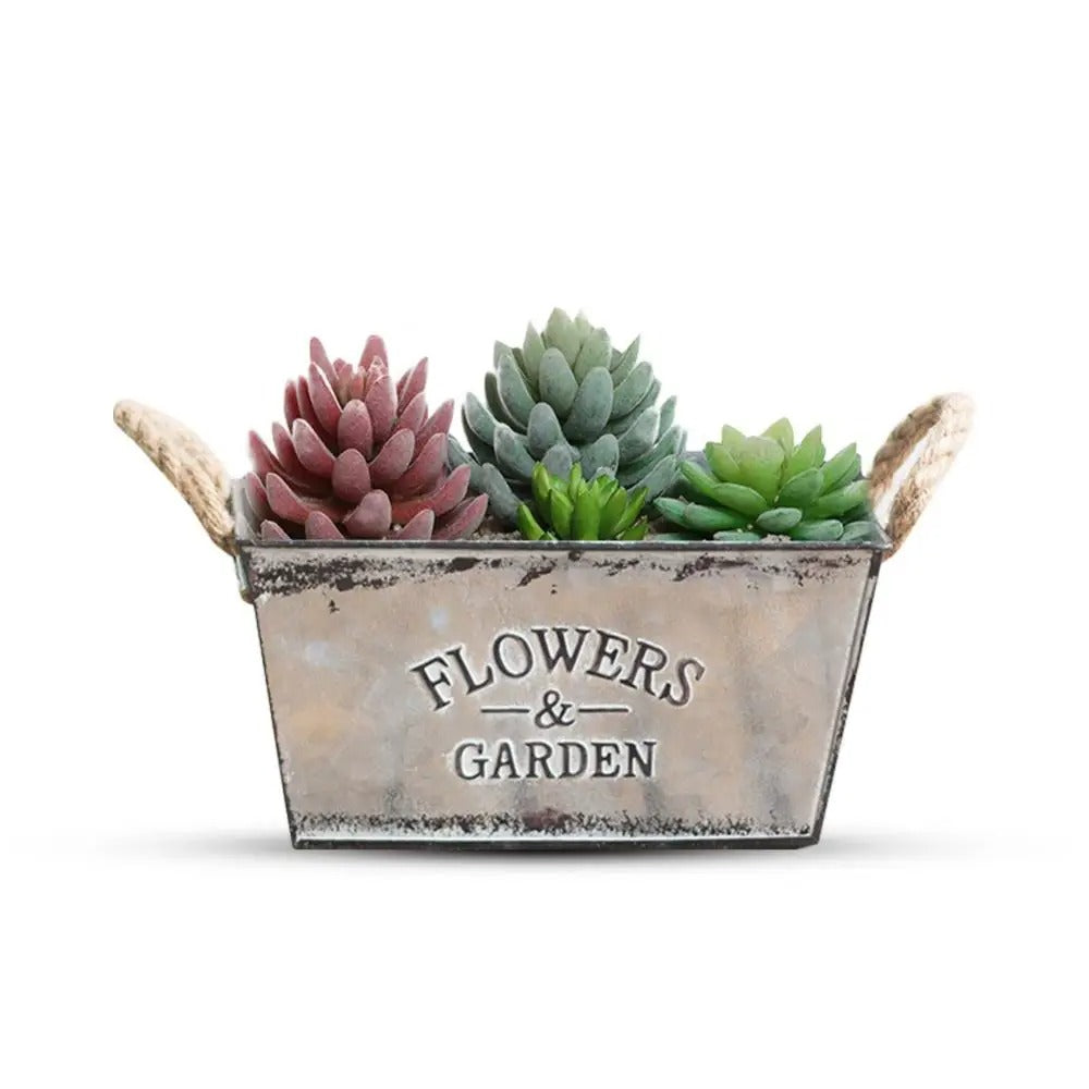 Flowers & Garden Metal Flower Pot