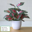 Artificial Exotic Leaf Pot Plants