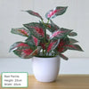 Artificial Exotic Leaf Pot Plants