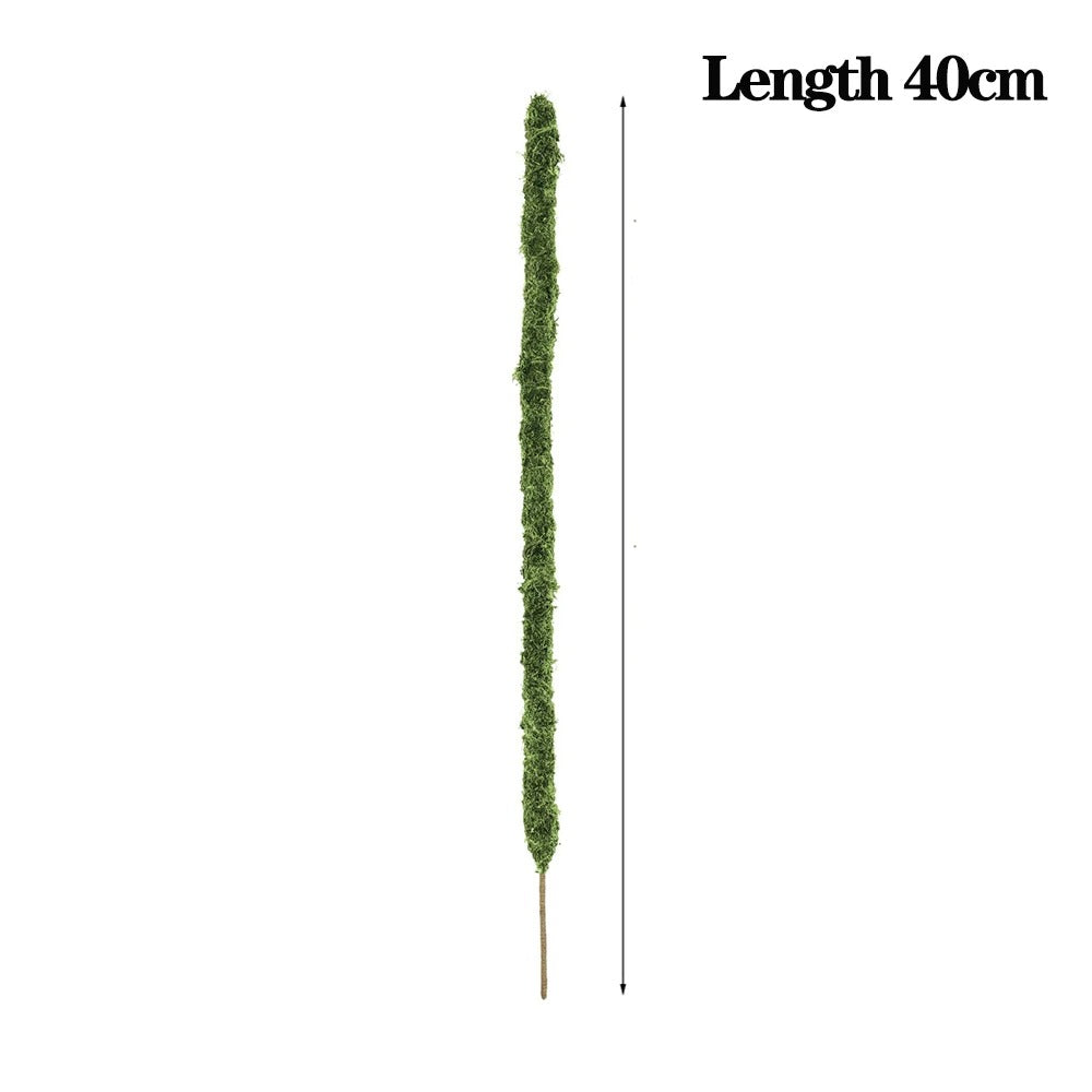 Moss Pole Bendable Plant Stake