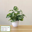 Artificial Exotic Leaf Pot Plants