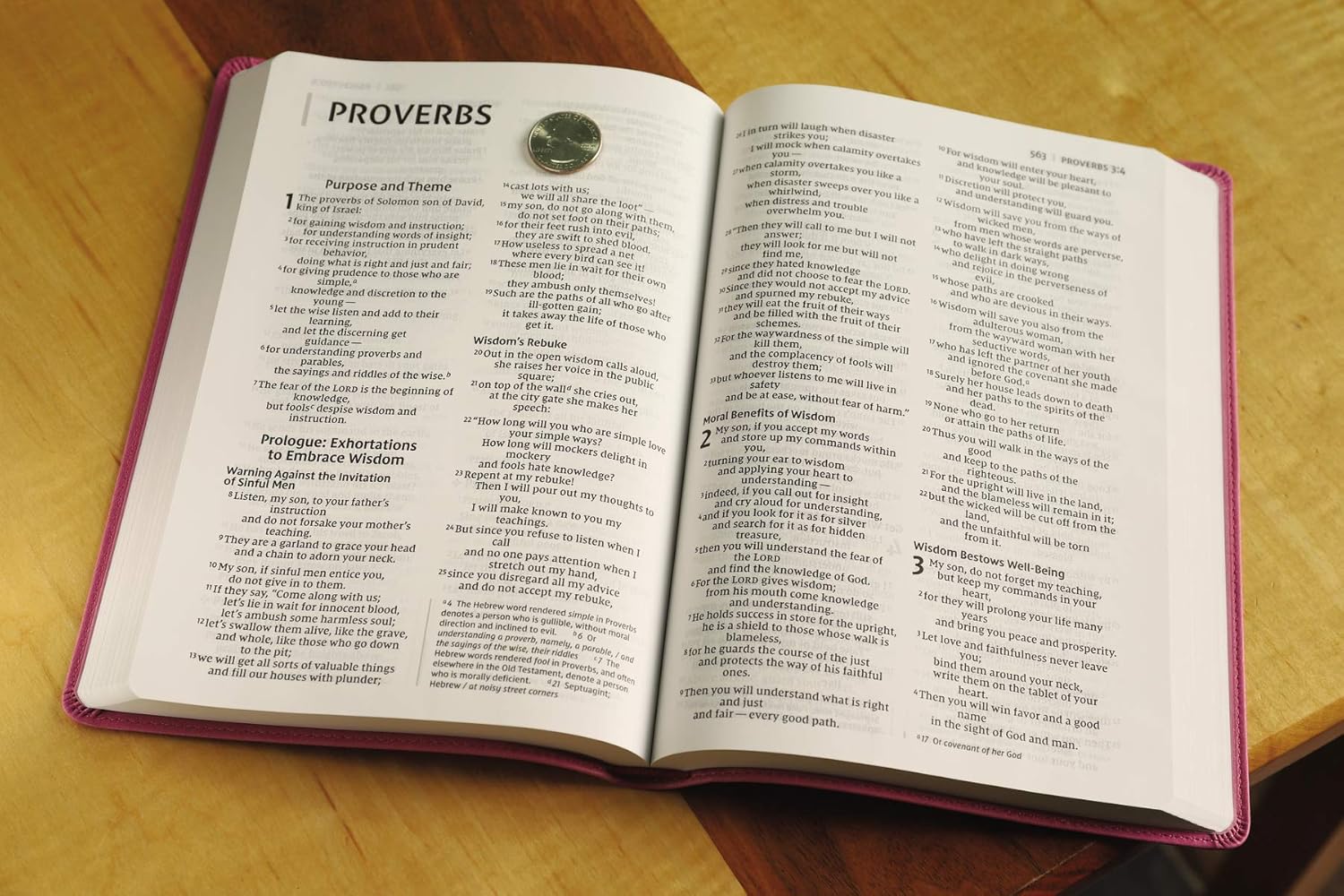 NIV Value Thinline Bible Large Print – Pink (Black Letter Edition)