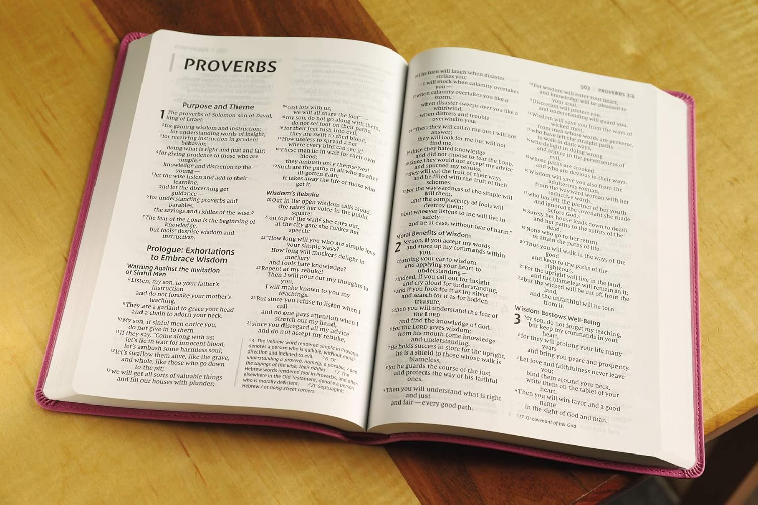 NIV Value Thinline Bible Large Print – Pink (Black Letter Edition)