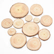 Pine Wood Slice Log Coasters