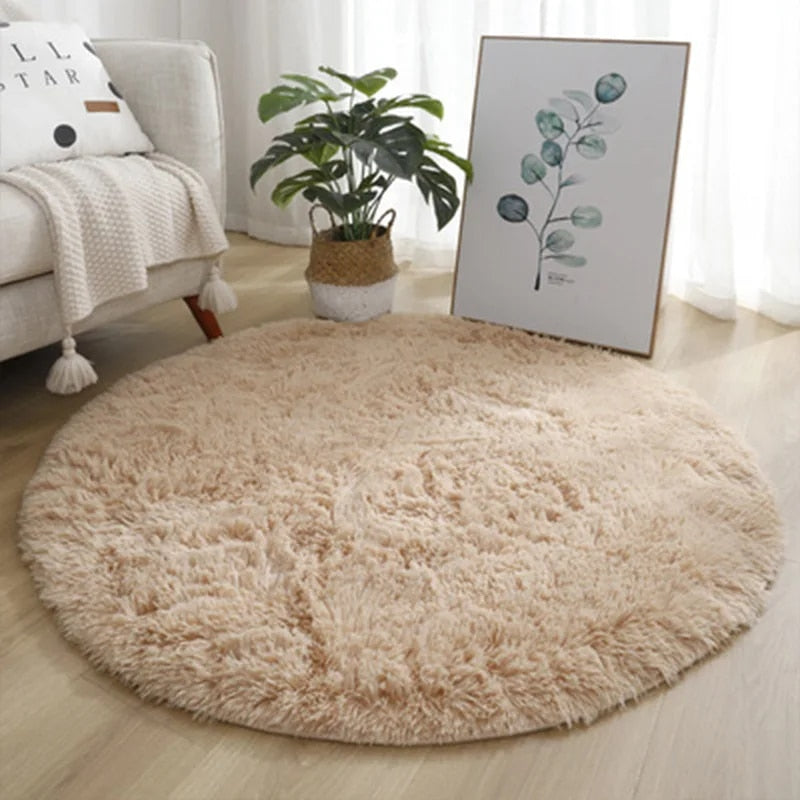 Round Plush Carpet Rug