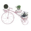 European Bicycle Pot Plant Display