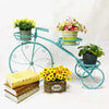 European Bicycle Pot Plant Display