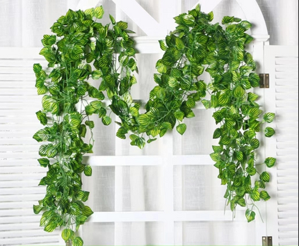Verdant Ivy Vines