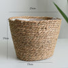 Woven Straw Flower and Plant Pot